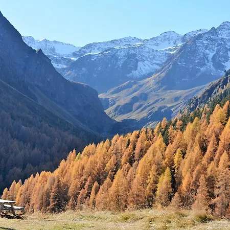 Daire Haus Sonnenalm Sankt Sigmund im Sellrain